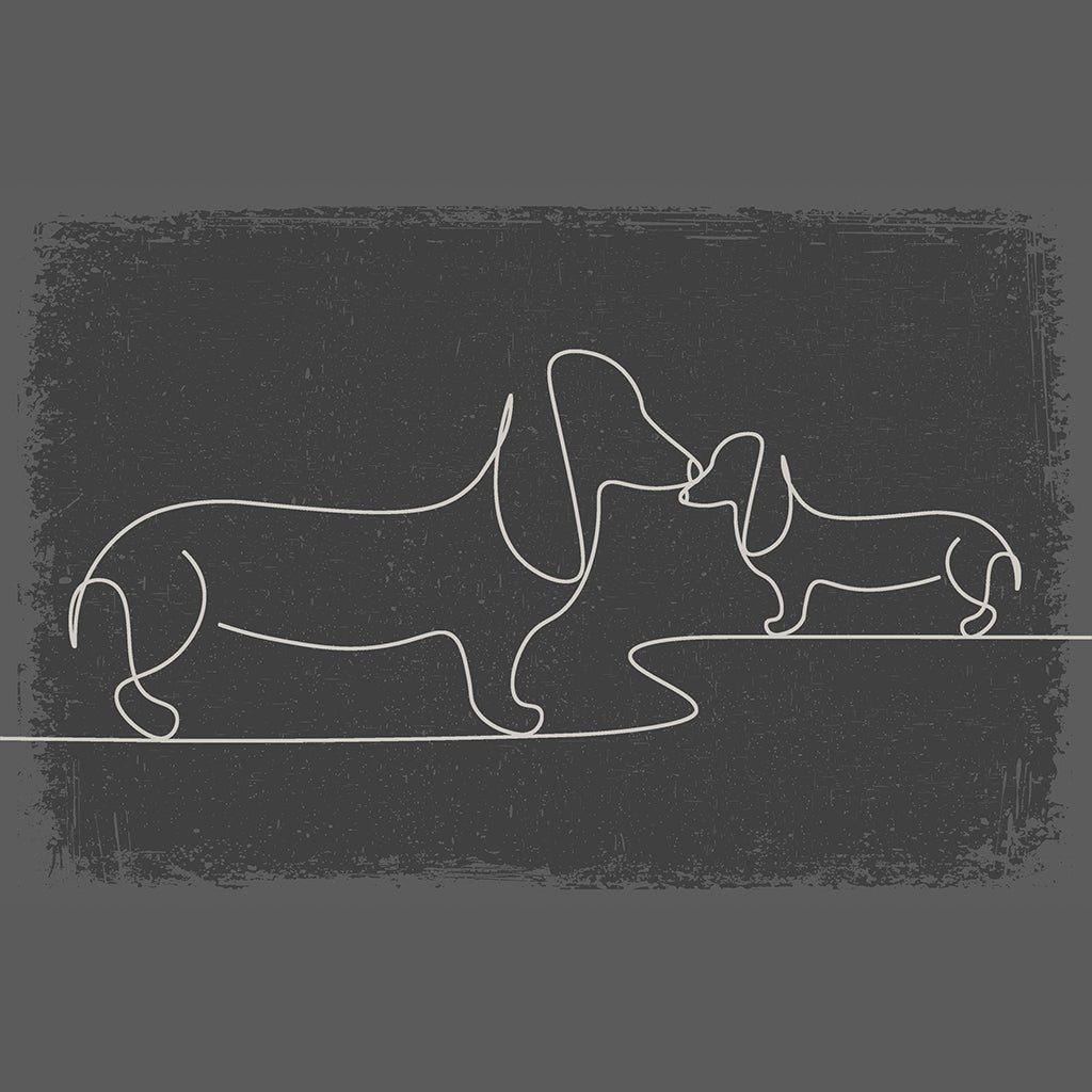 MINIMALIST DOGS, PATIO DØRMÅTTE M. KANT