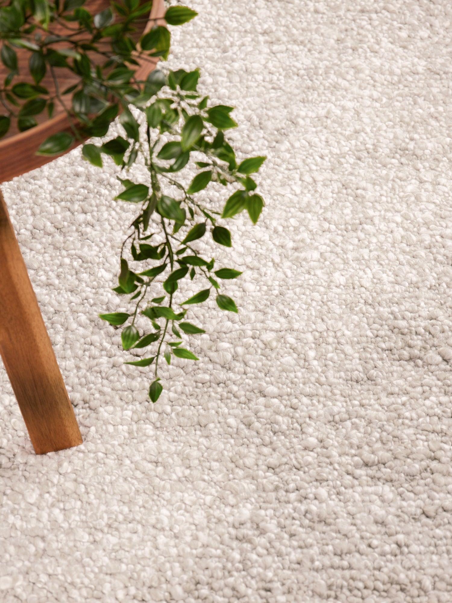 TED BAKER NOTTING HILL SOFT BOUCLE KORTLUVET TÆPPE, PORTOBELLO CREME