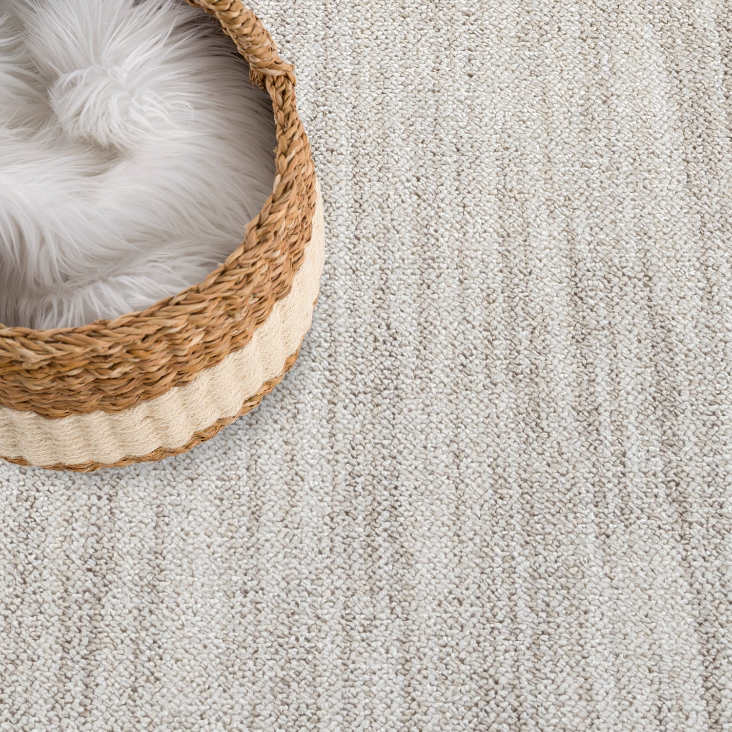 MODERNE TÆPPE CLASICO, 0052 TAUPE