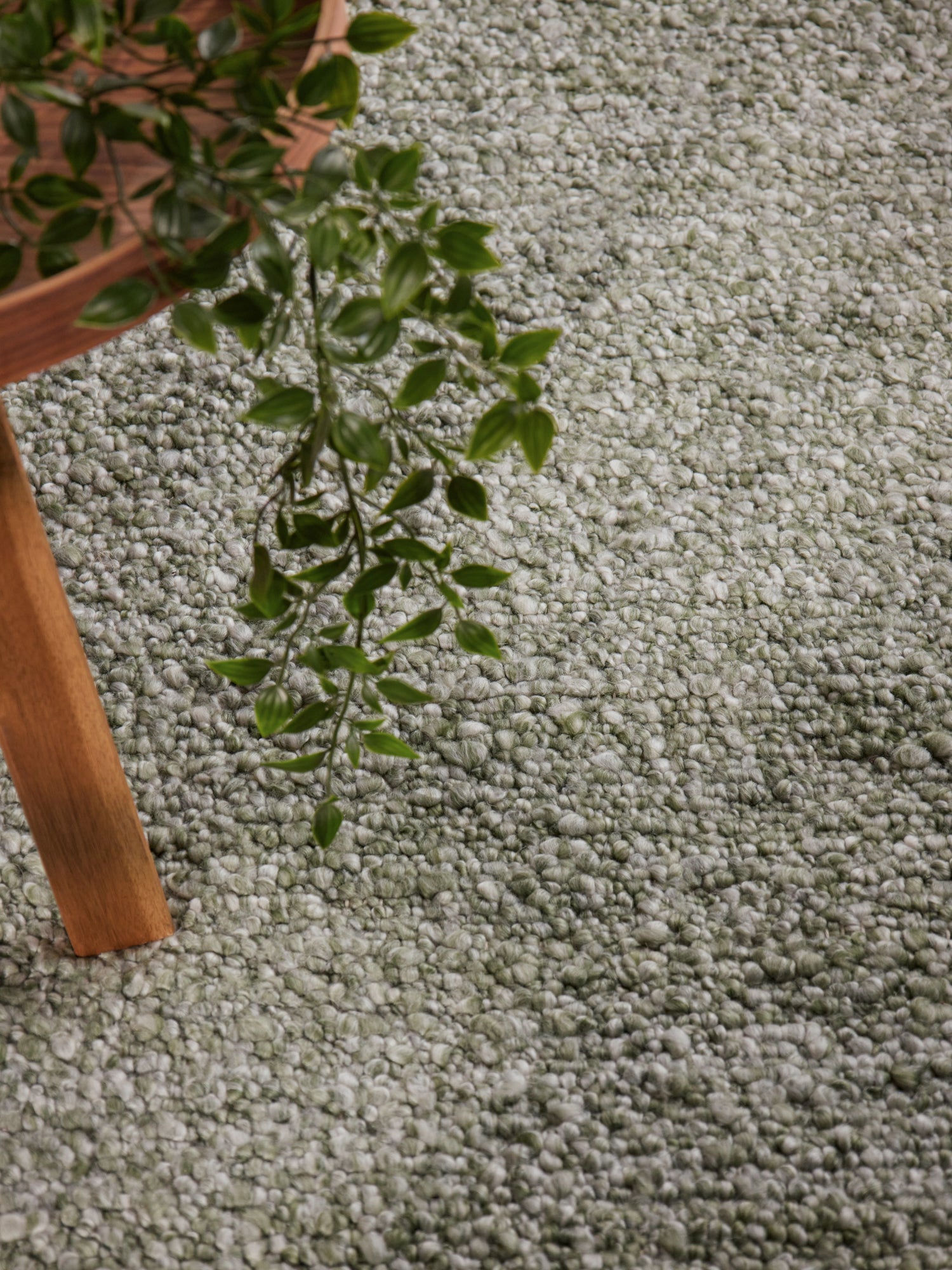 TED BAKER NOTTING HILL SOFT BOUCLE KORTLUVET TÆPPE, PORTOBELLO GRØN