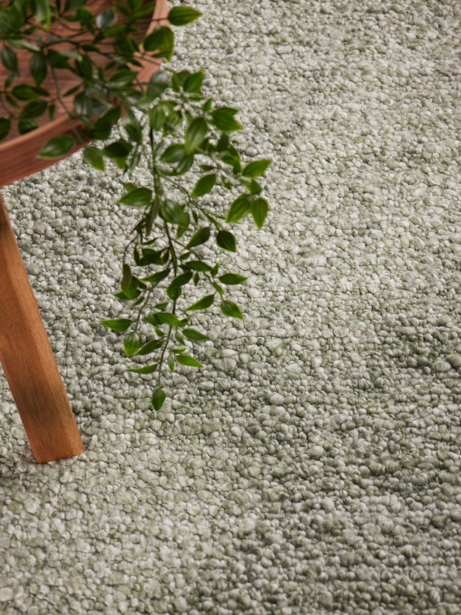 TED BAKER NOTTING HILL SOFT BOUCLE KORTLUVET TÆPPE, PORTOBELLO LYSEGRØN